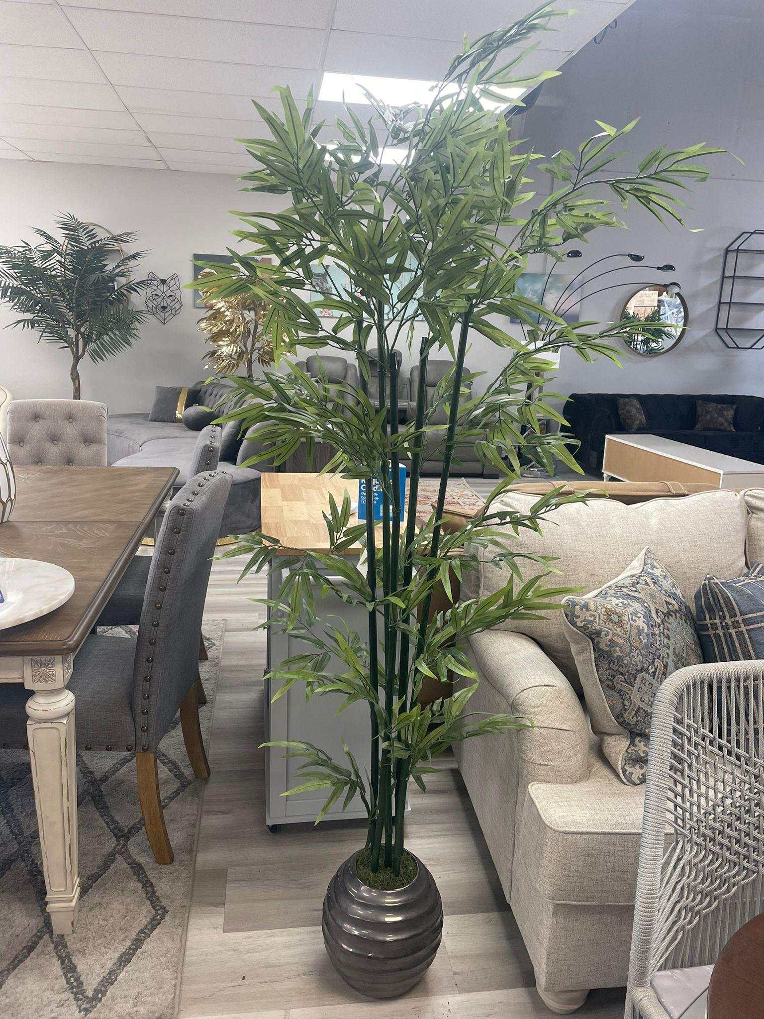 Green Bamboo / 6’ - Ornate Home