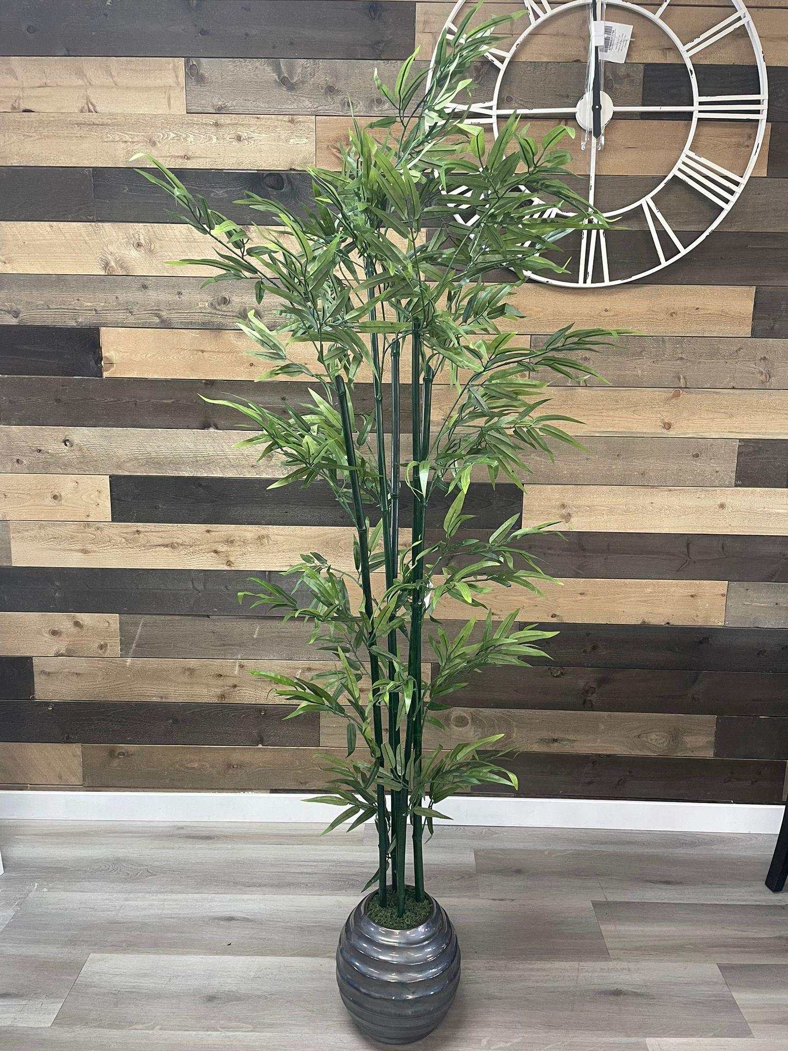 Green Bamboo / 6’ - Ornate Home