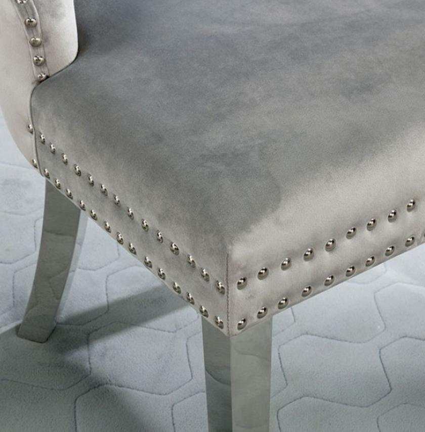 Jewett Velvet & Chrome Side Chair (Set of 2) - Ornate Home