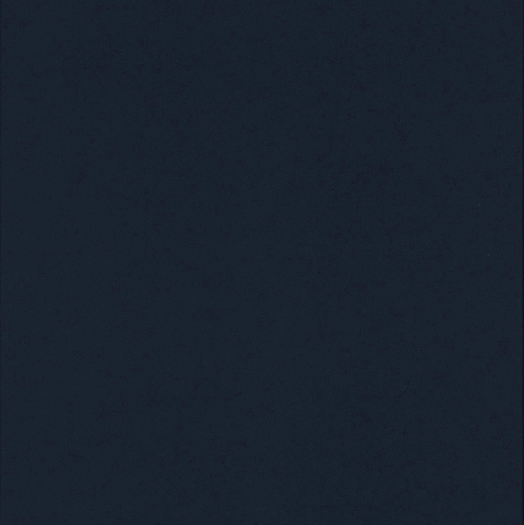 Littleton Blue Twin / Full Bunk Bed - Ornate Home