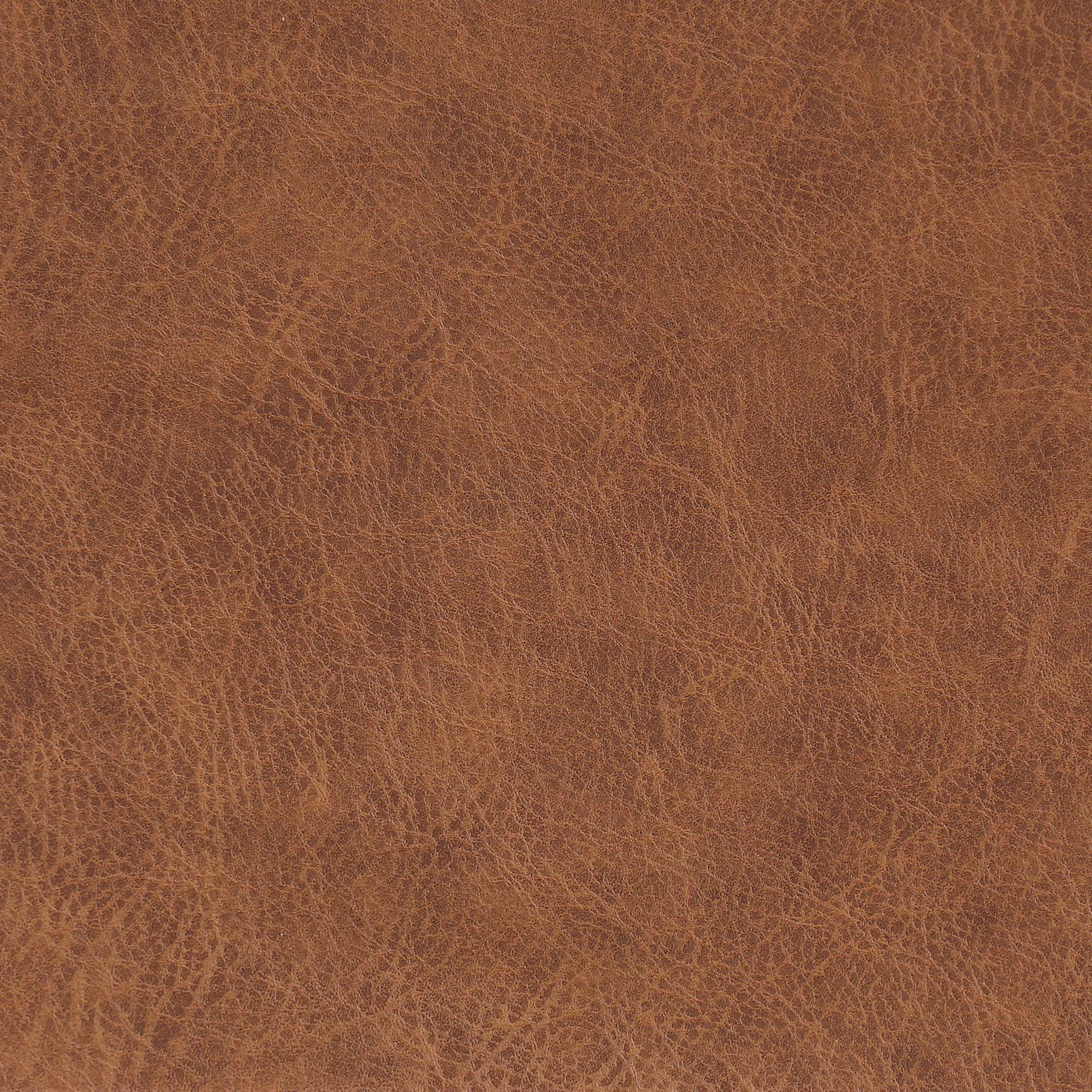 Ortega Coffee Side Chair (Set of 2) - Ornate Home