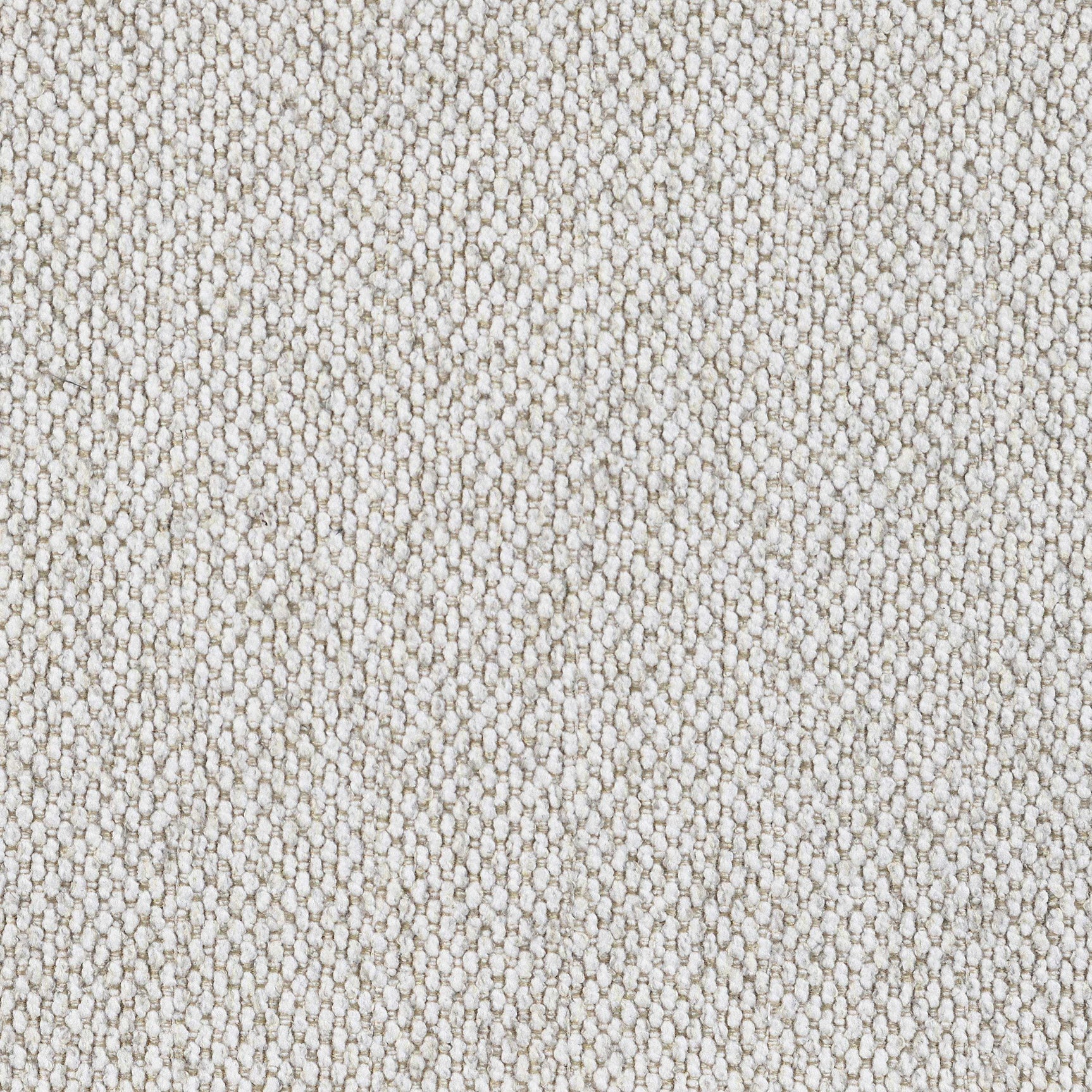 Rainn Latte Sofa - Ornate Home