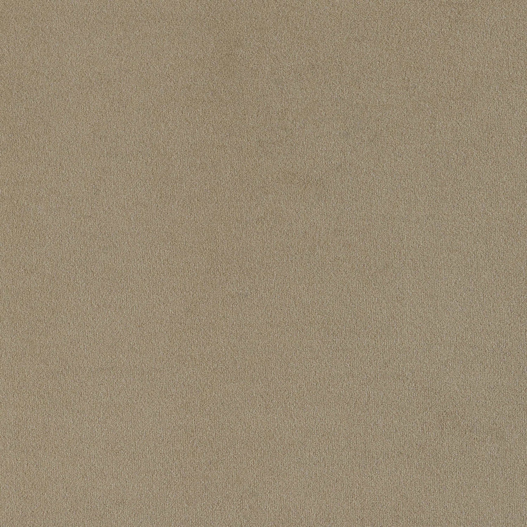 Rainn Latte Sofa - Ornate Home