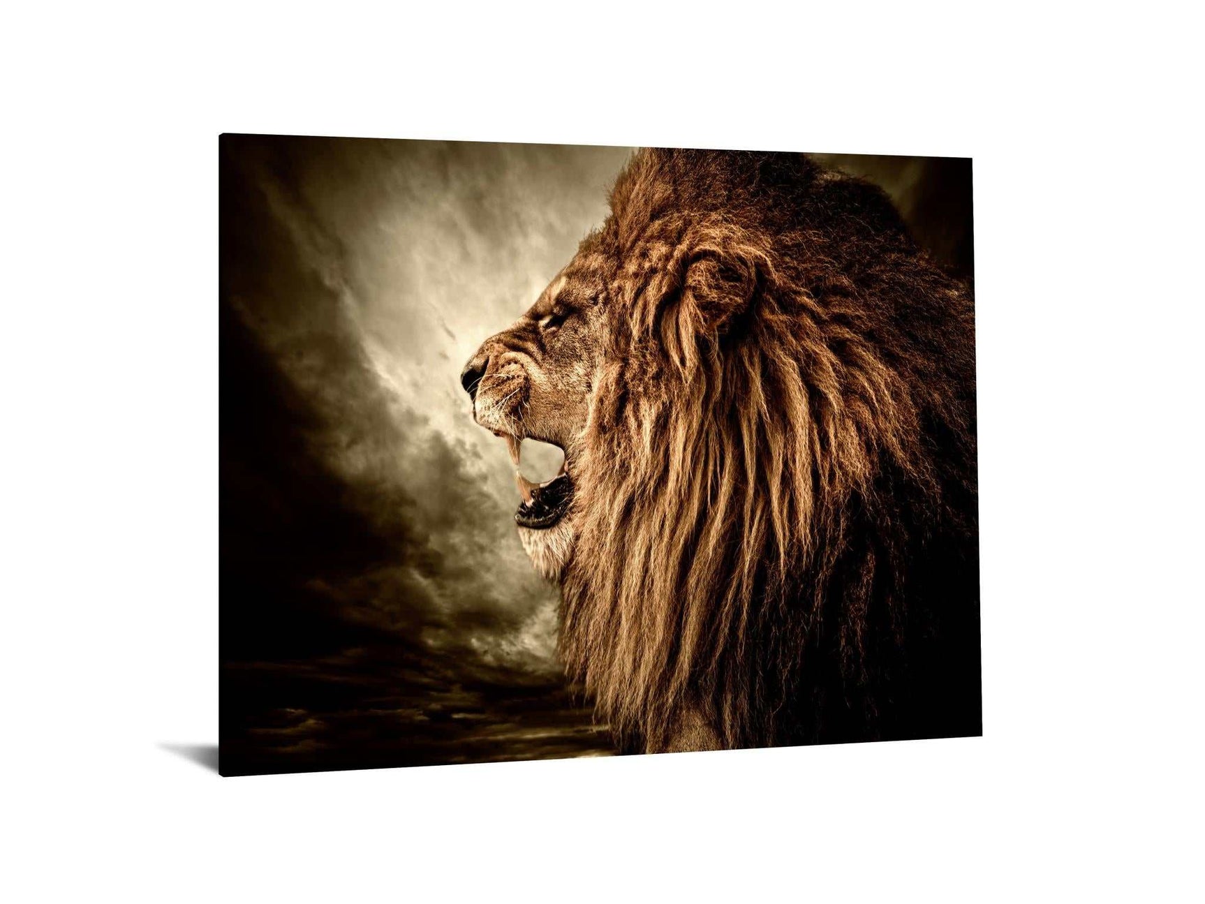 Roaring Lion Tempered Glass w / Foil Wall Art - Ornate Home