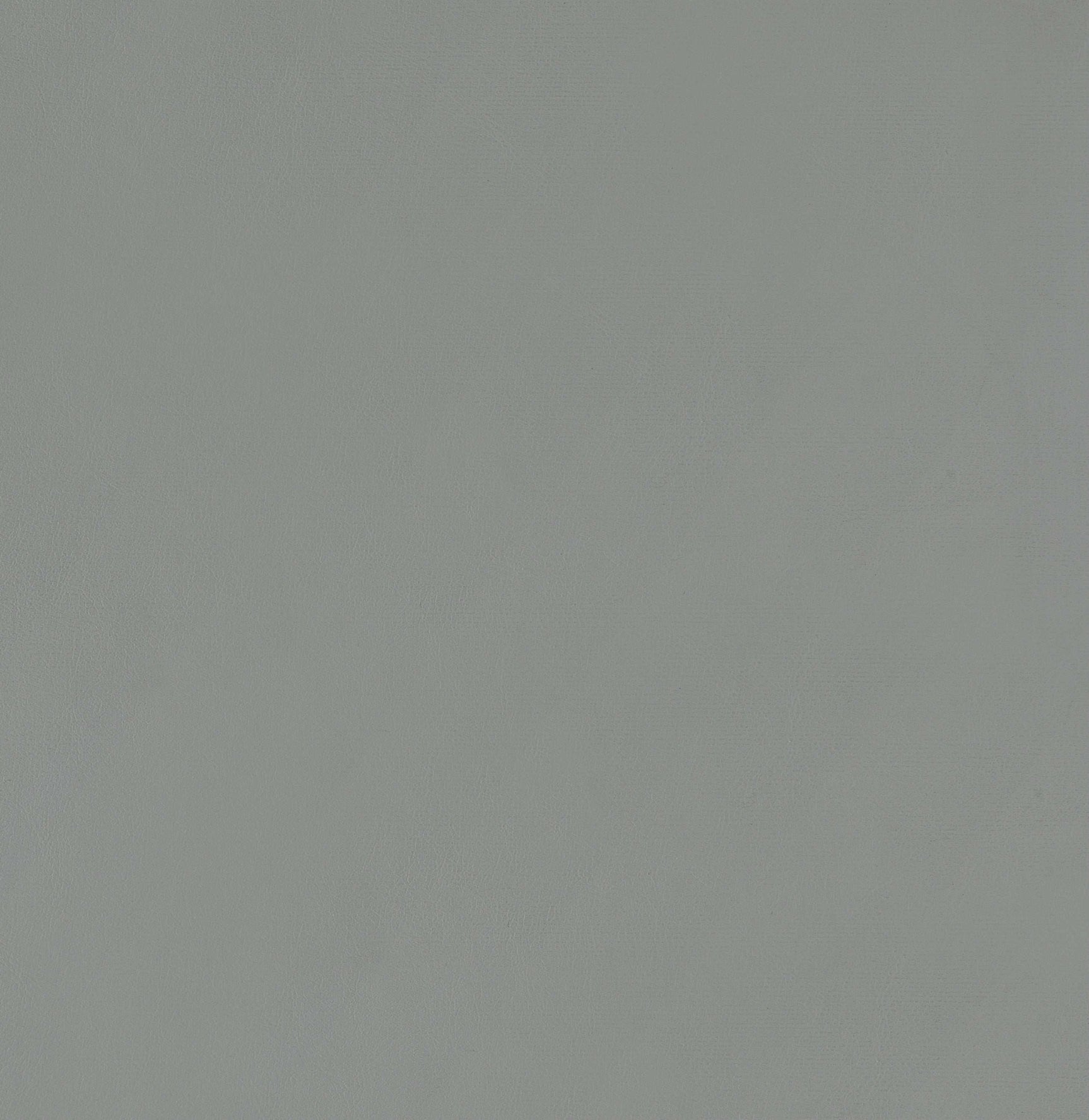 Sarina Grey & Chrome Counter Height Stools (Set Of 2) - Ornate Home