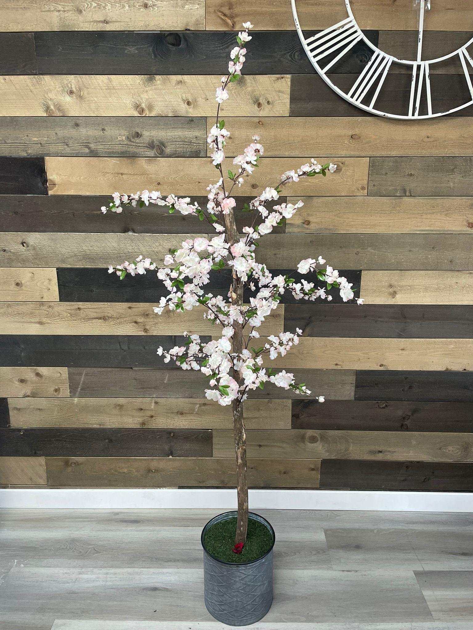 Small Pink Cherry Blossom / 5’ - Ornate Home