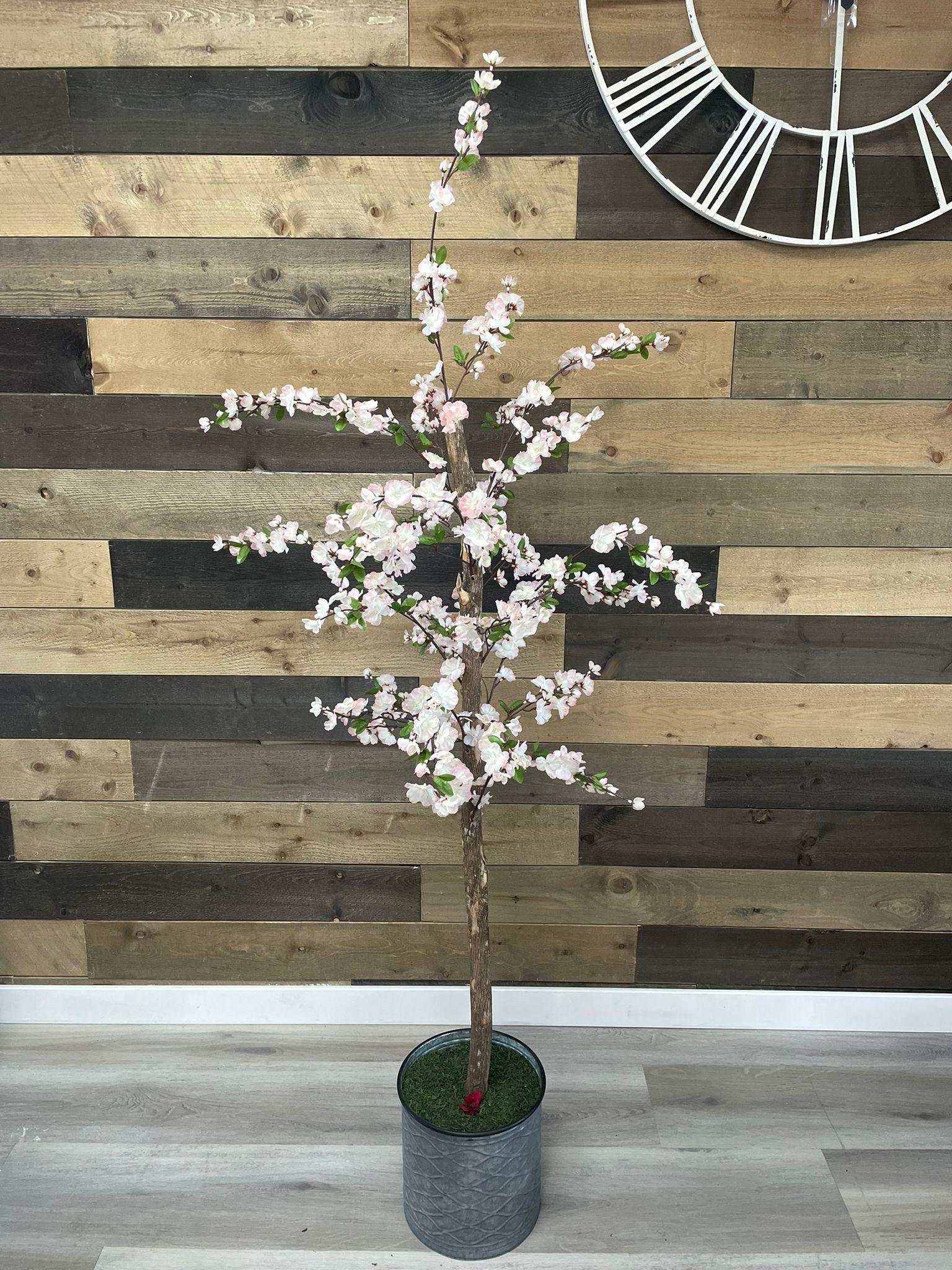 Small Pink Cherry Blossom / 5’ - Ornate Home
