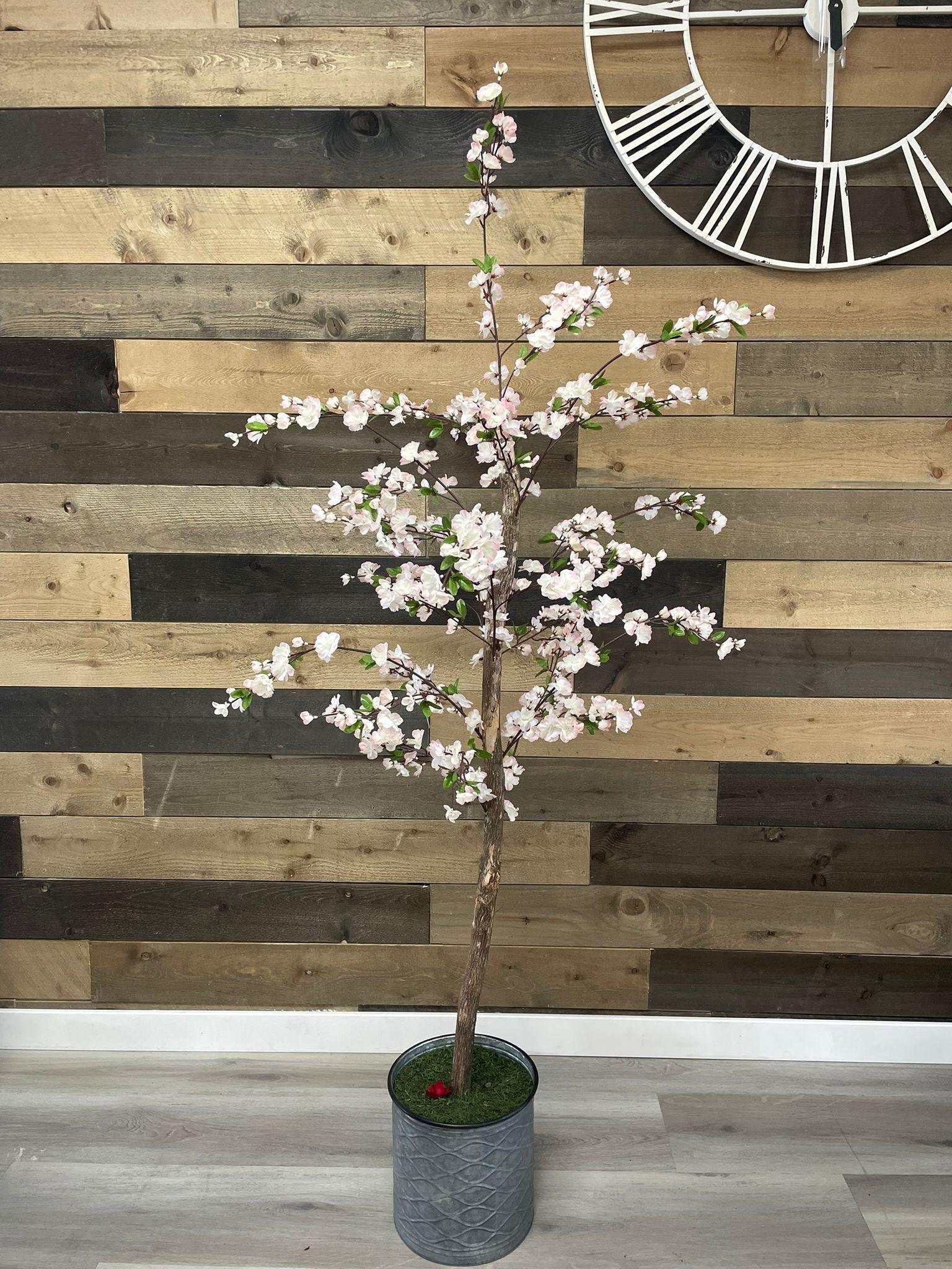 Small Pink Cherry Blossom / 5’ - Ornate Home
