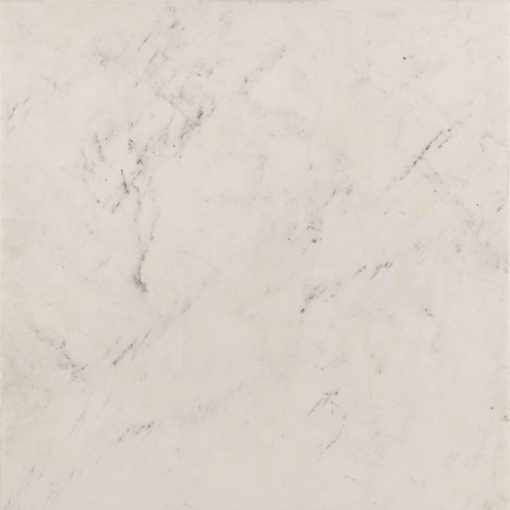 Tobin White / Black End Table - Ornate Home