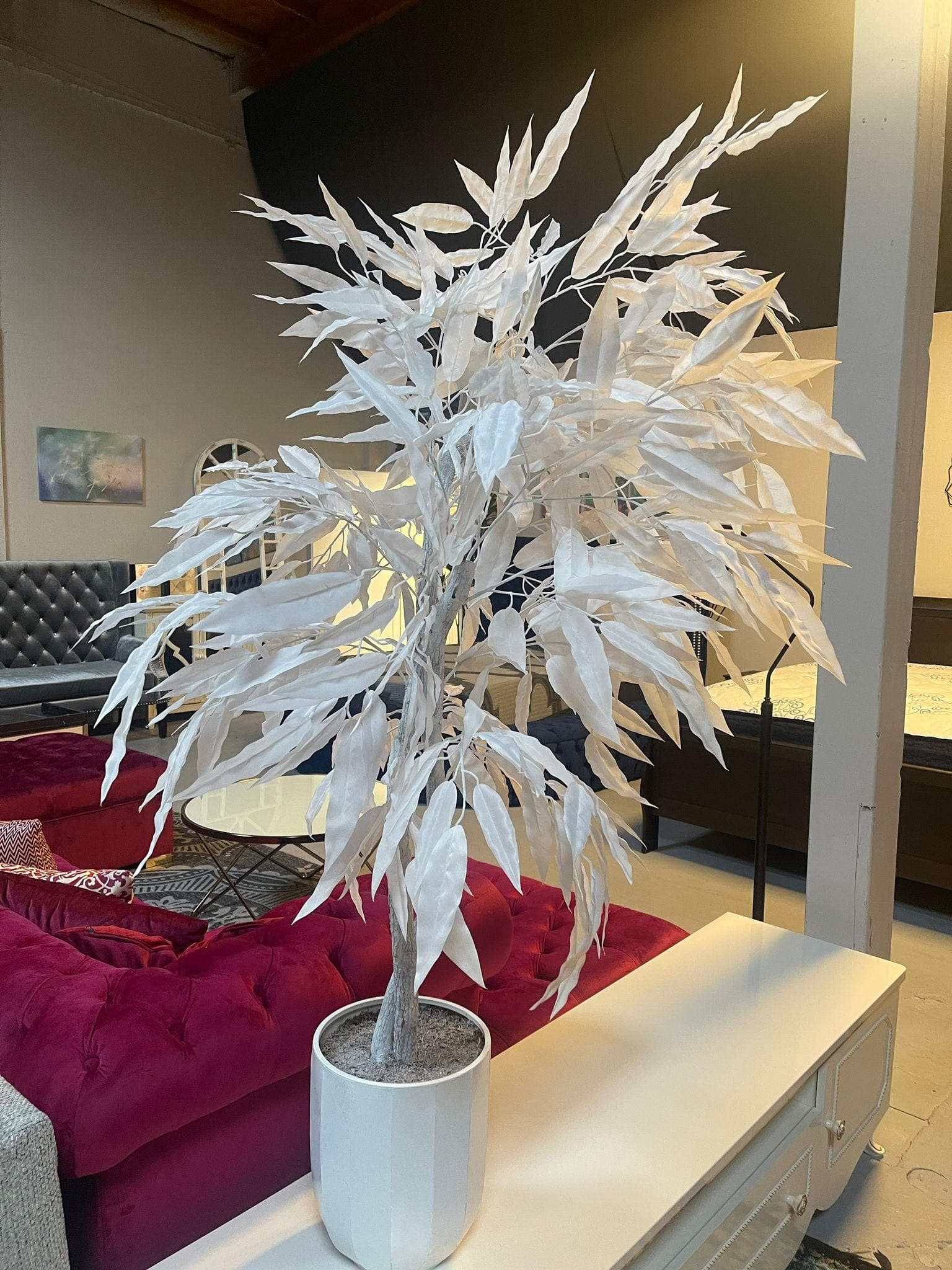 White Mango in White Hexagonal Metal / 5’ - Ornate Home