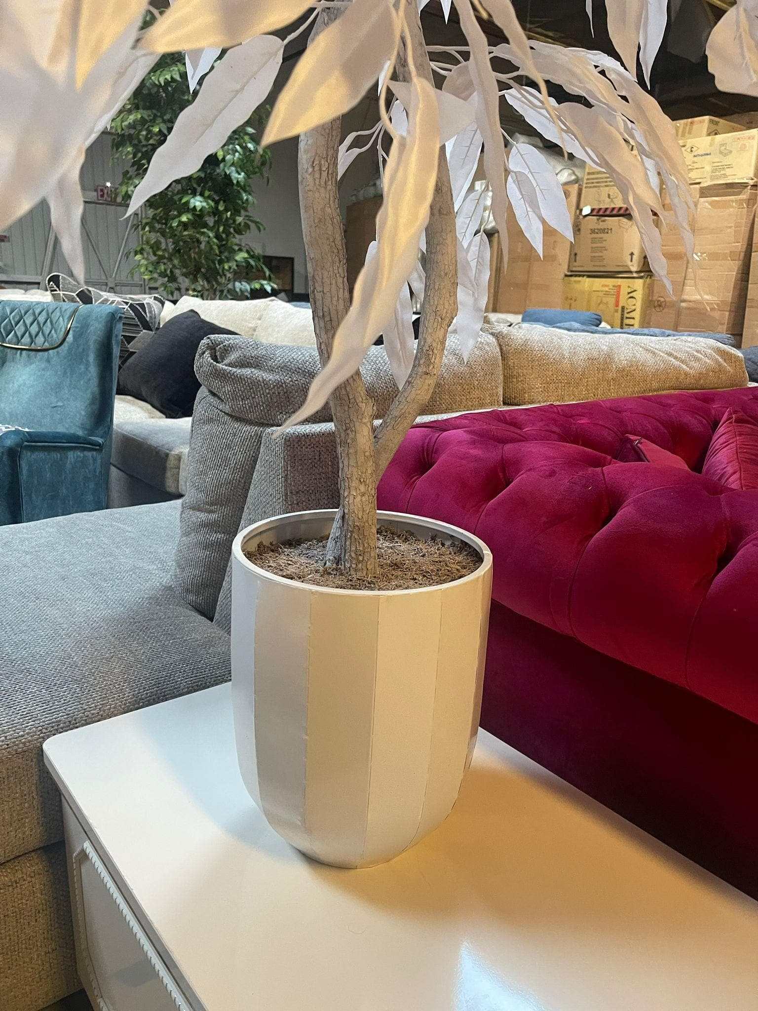 White Mango in White Hexagonal Metal / 5’ - Ornate Home