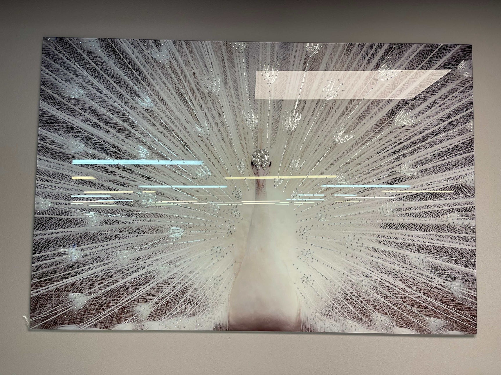 White Peacock Tempered Glass w / Foil & Rhinestones Wall Art - Ornate Home