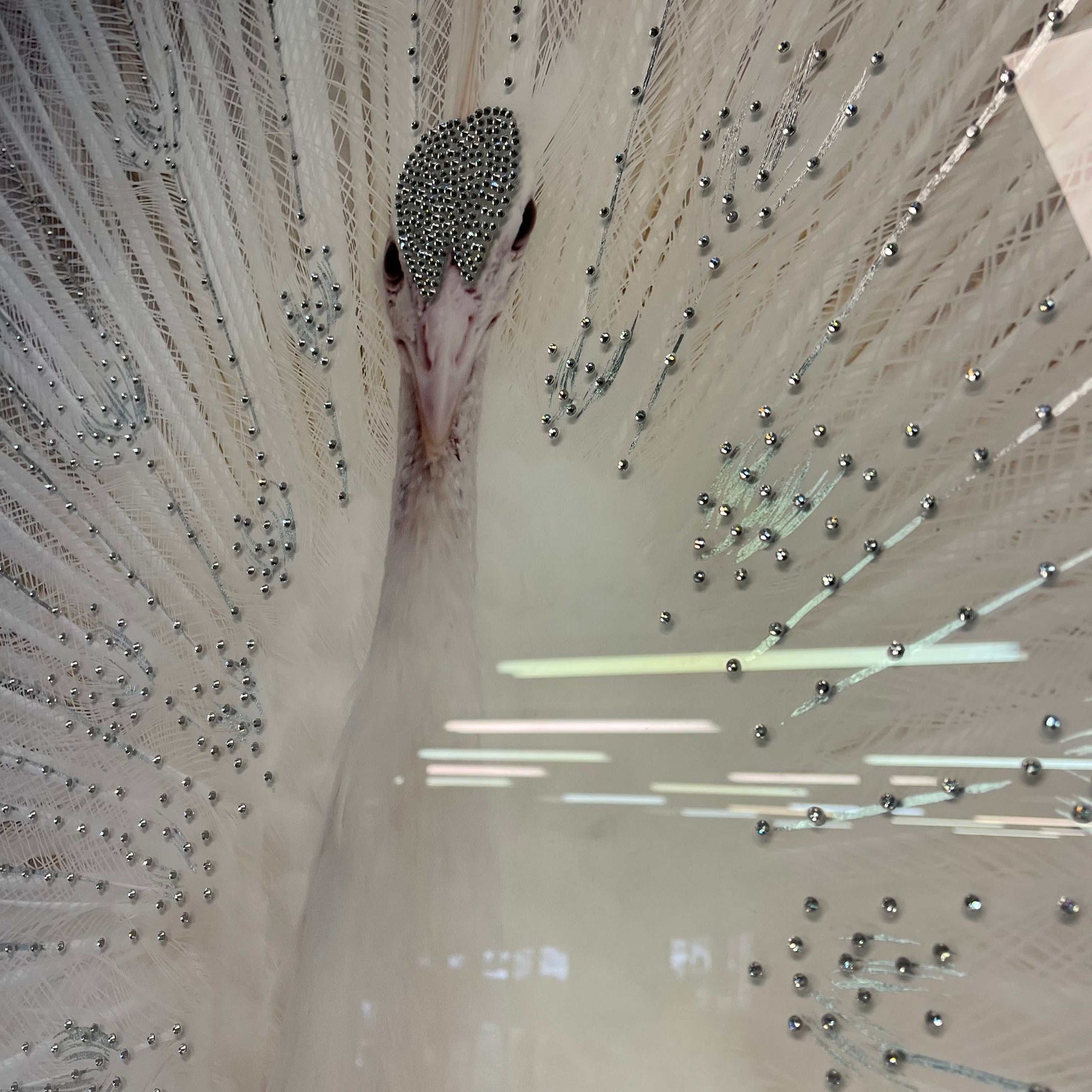 White Peacock Tempered Glass w / Foil & Rhinestones Wall Art - Ornate Home