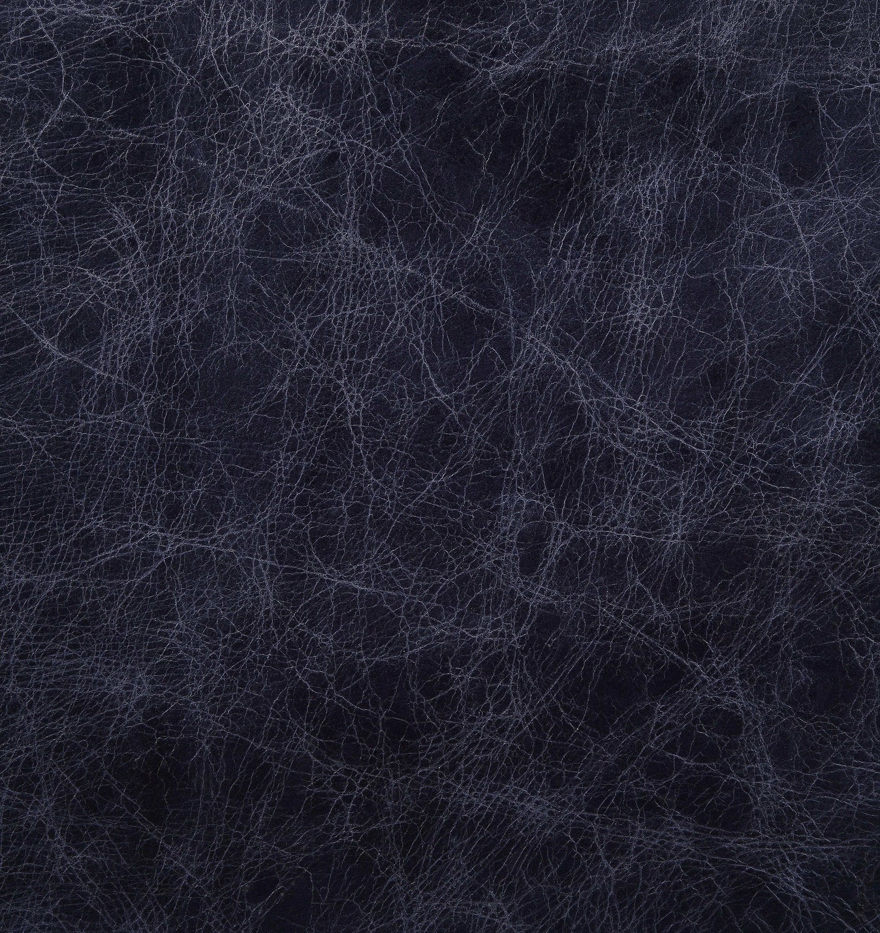 Birdie Top Grain Leather Modular Sectional Living Room Set - Ornate Home