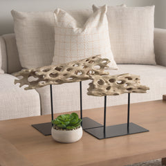Dwell Brown Small Cholla Wood Resin Decorative Object