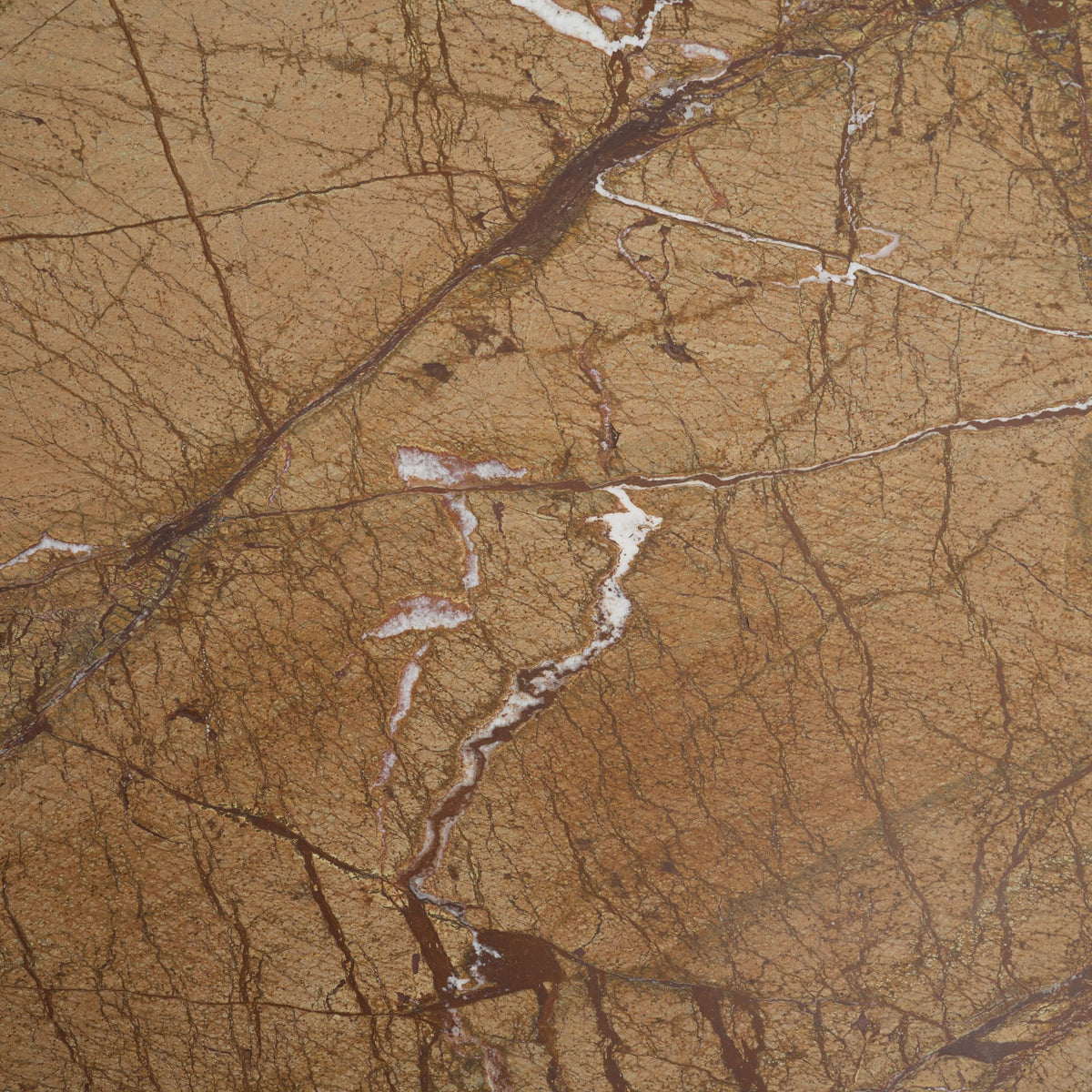 Matteo Rust Solid Rainforest Marble Rectangular Coffee Table