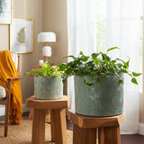 Morganwind Sage Green Arch Planters (Set of 2)