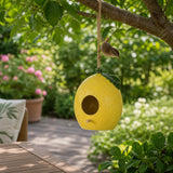 Bradenmill Yellow/Green Birding