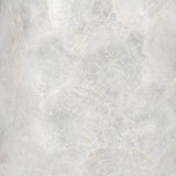 Clam Beach Champagne/Cream Capiz Table Lamp with Acrylic Base