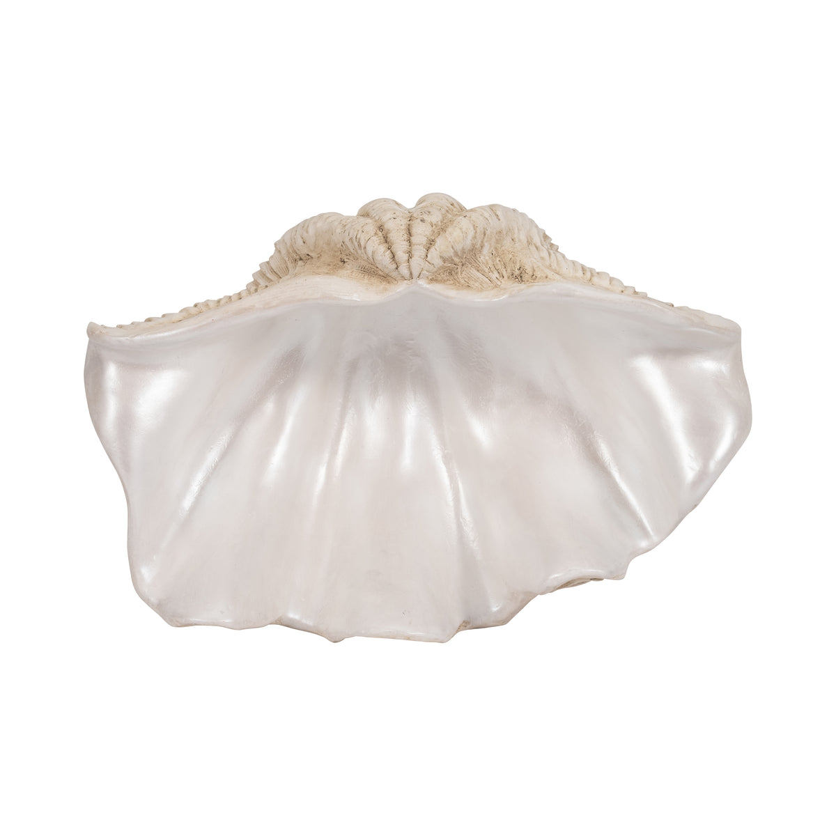 Pennshaw Ivory Pearlized Clam Shell Bowl