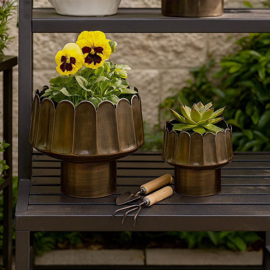 Maxwellshaw Gold Planters (Set of 2)