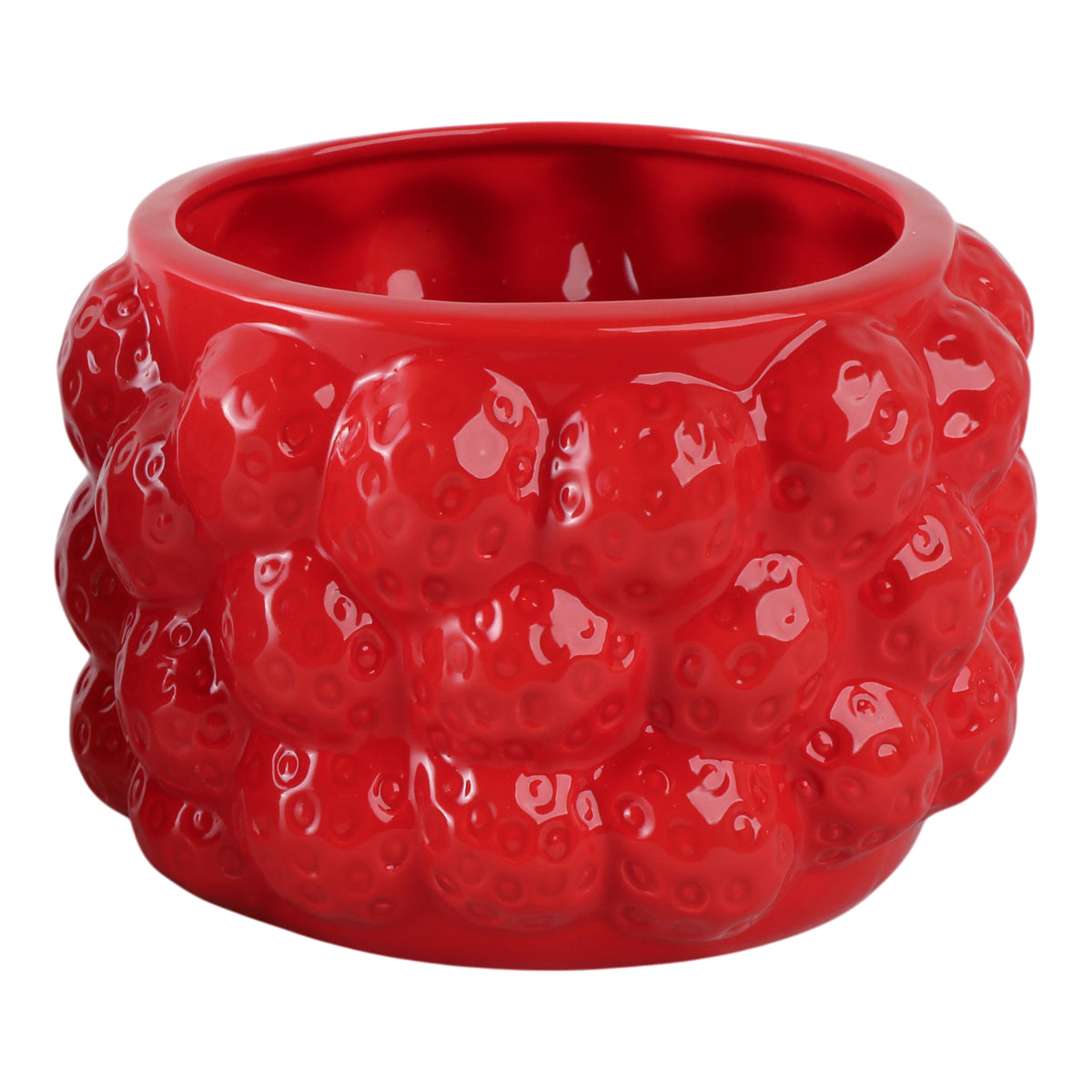Calwind Red Small Strawberries Flower Pot