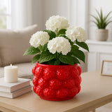 Calwind Red Small Strawberries Flower Pot