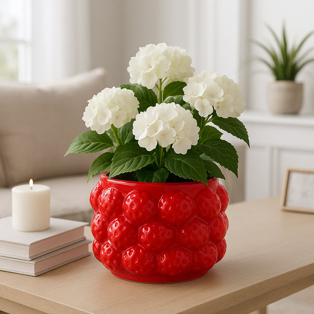 Calwind Red Small Strawberries Flower Pot
