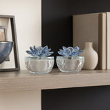 Bairdcross Clear/Blue Boxes (Set of 2)