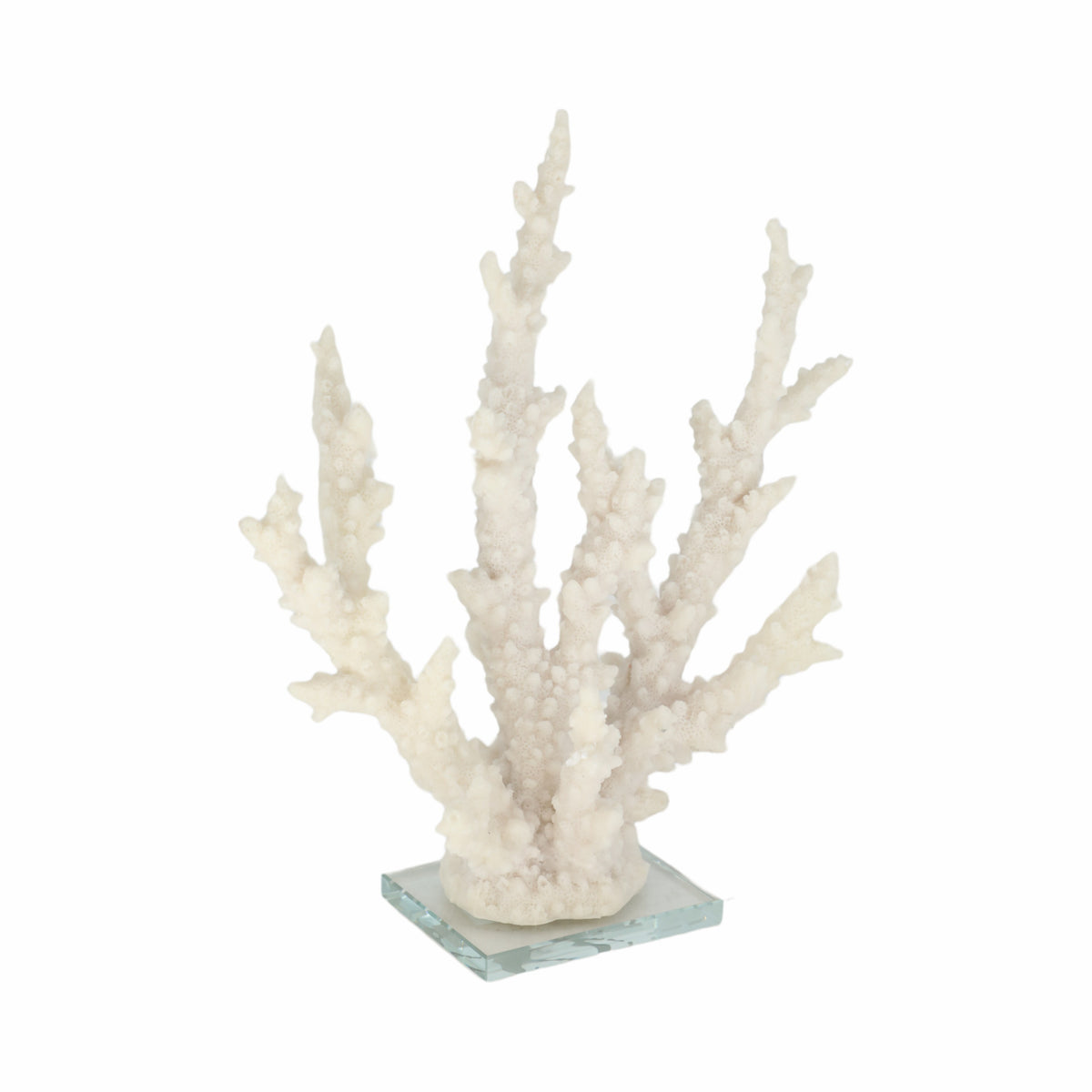 Slaterview White Branching Coral on Glass Base
