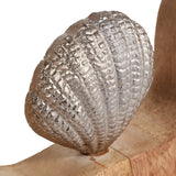 Brysondale Brown Seashell in Round Decor