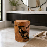 Ruthven Natural Live Edge Teakwood Stool