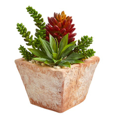 11” Mixed Succulents Artificial Plant in Small Terra Cotta Vase - Ornate Home