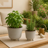 Rexdale Ivory Planters (Set of 2)