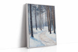 A Path Through Winter's Embrace