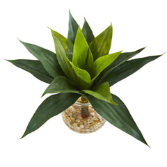 12" Agave Succulent Artificial Plant in Glass Vase" - Ornate Home