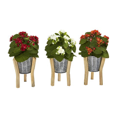 12” Kalanchoe Plant in Tin Planter with Legs (Set of 3) - Ornate Home