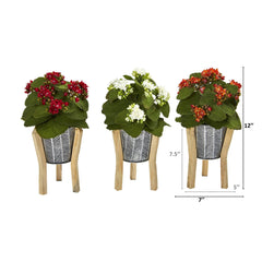 12” Kalanchoe Plant in Tin Planter with Legs (Set of 3) - Ornate Home