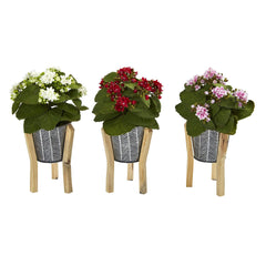12” Kalanchoe Plant in Tin Planter with Legs (Set of 3) - Ornate Home