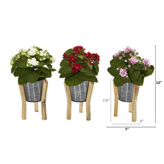 12” Kalanchoe Plant in Tin Planter with Legs (Set of 3) - Ornate Home