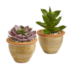 12” Succulent Artificial Plant in Glazed Ceramic Vase (Set of 2) - Ornate Home