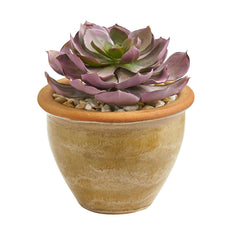 12” Succulent Artificial Plant in Glazed Ceramic Vase (Set of 2) - Ornate Home