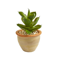 12” Succulent Artificial Plant in Glazed Ceramic Vase (Set of 2) - Ornate Home