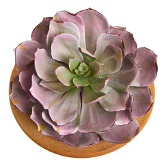 12” Succulent Artificial Plant in Glazed Ceramic Vase (Set of 2) - Ornate Home