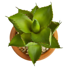 12” Succulent Artificial Plant in Glazed Ceramic Vase (Set of 2) - Ornate Home