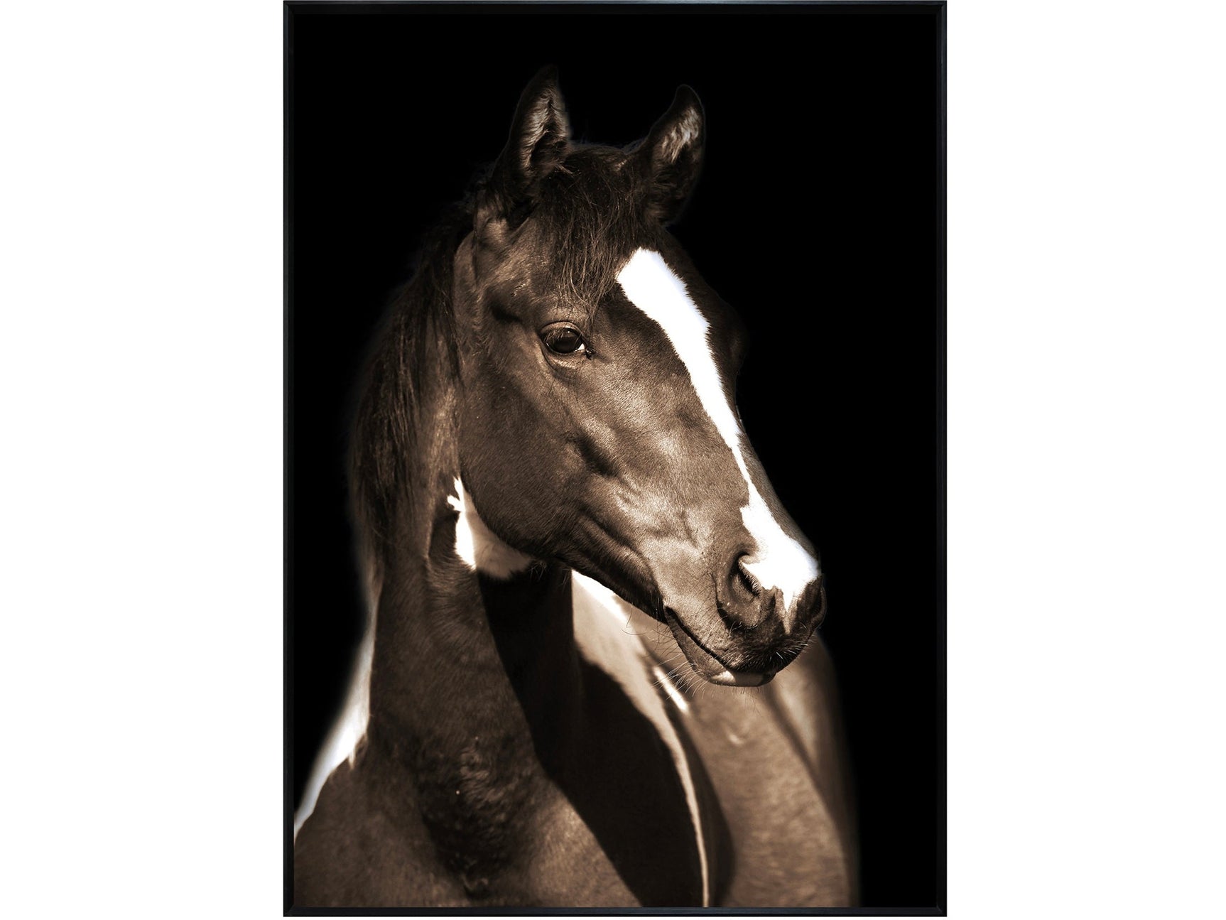 Fayette 1 Brown/Black Print