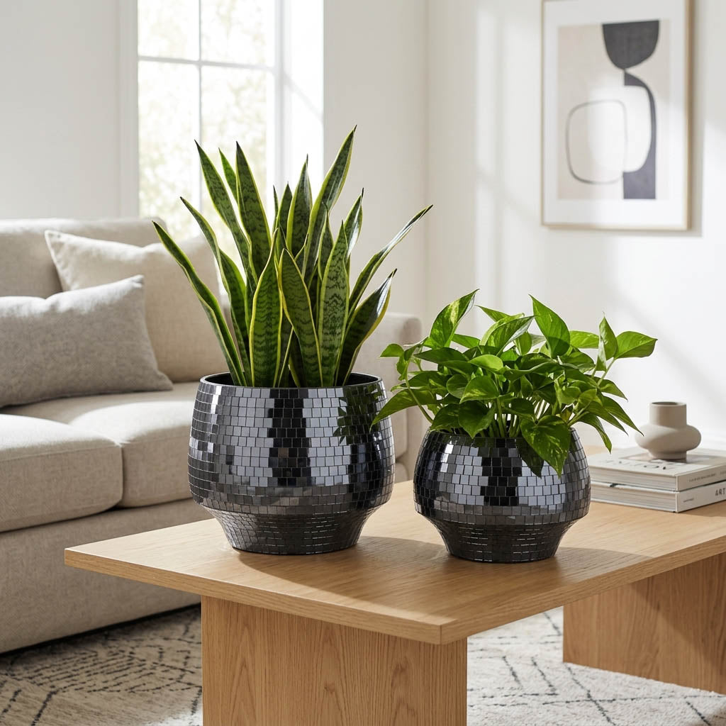 Antonshaw Black Planters (Set of 2)