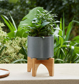 Swiss Bar Gray/Brown Planter with Wood Stand