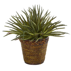 13” Aloe Artificial Plant in Basket - Ornate Home
