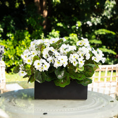 13” Geranium in Rectangular Planter UV Resistant (Indoor/Outdoor) - Ornate Home